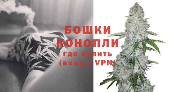 PSILOCYBIN Белоозёрский