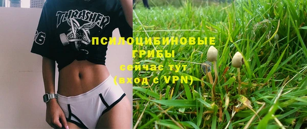 PSILOCYBIN Белоозёрский