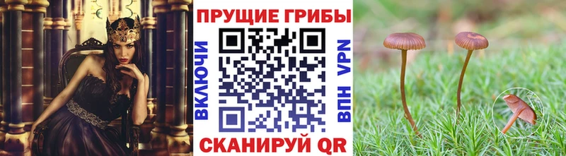 Псилоцибиновые грибы мухоморы Бобров
