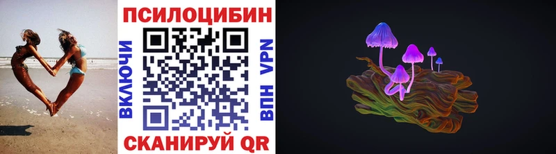 купить Бобров Галлюциногенные грибы Psilocybe